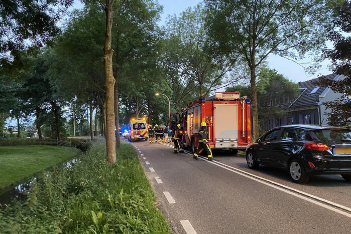 Auto tegen boom