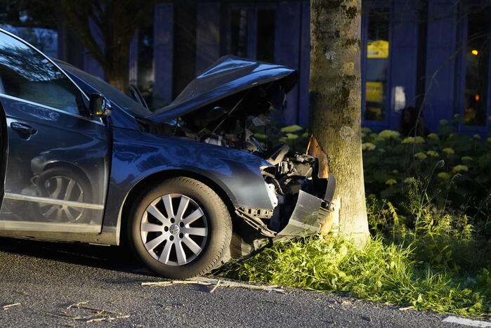 Auto tegen boom