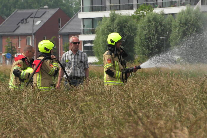 Boer spot brand in weiland