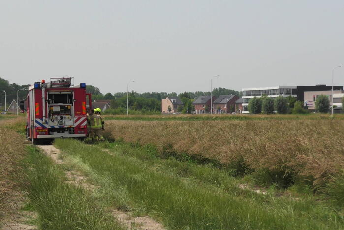 Boer spot brand in weiland