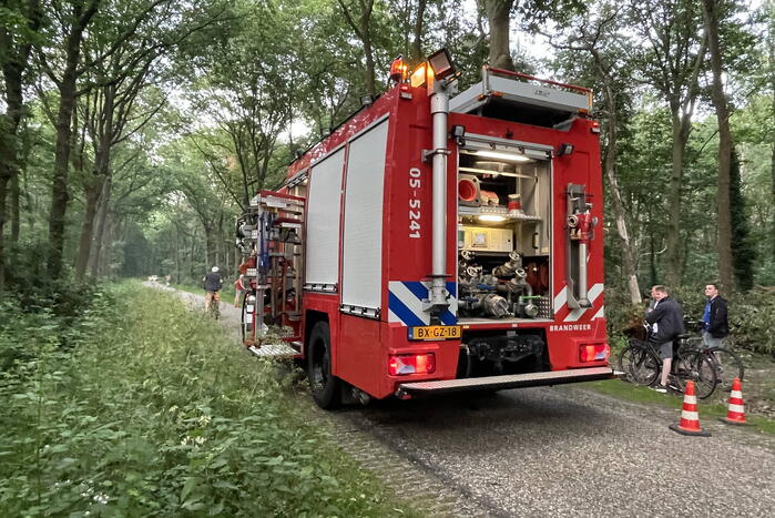 Brand in bosschage