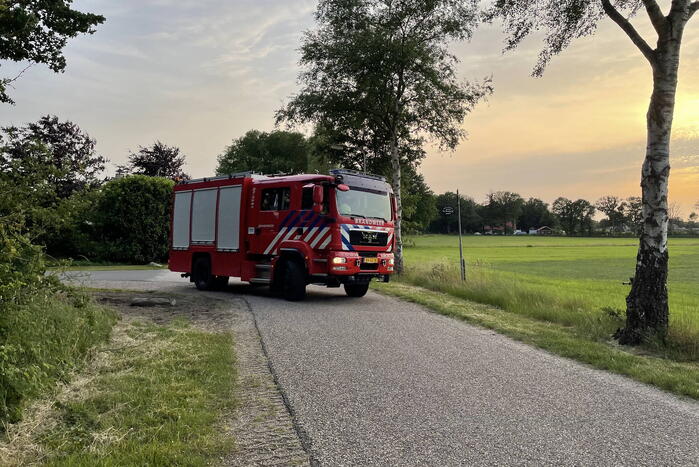 Brand in bosschage