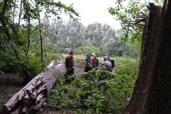 Stapel kranten in brand gestoken in het Gouwebos