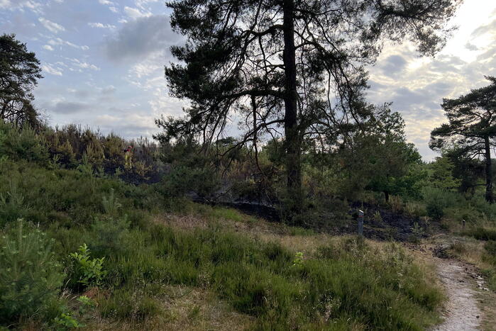 Brandweer blust brand op Brunssummerheide