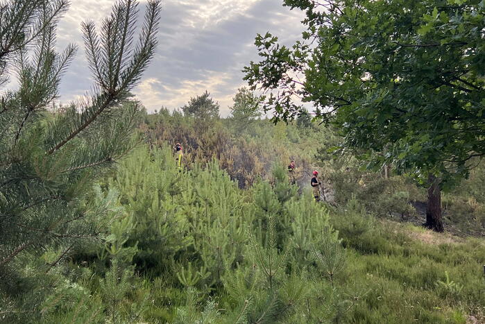 Brandweer blust brand op Brunssummerheide
