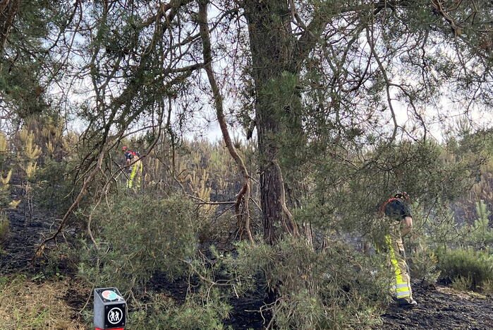 Brandweer blust brand op Brunssummerheide