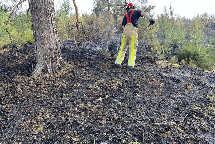 Brandweer blust brand op Brunssummerheide