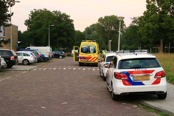 Steekpartij met aardappelschilmes