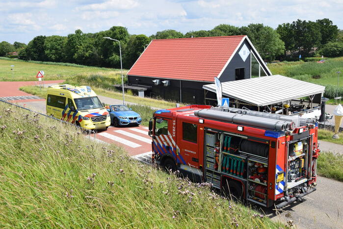 Duiker gereanimeerd na onwelwordig in Grevelingen