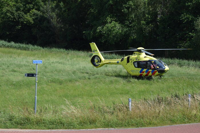 Duiker gereanimeerd na onwelwordig in Grevelingen