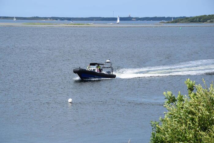 Duiker gereanimeerd na onwelwordig in Grevelingen