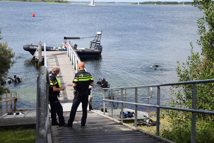 Duiker gereanimeerd na onwelwordig in Grevelingen