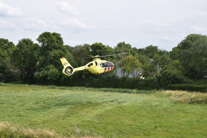 Duiker gereanimeerd na onwelwordig in Grevelingen