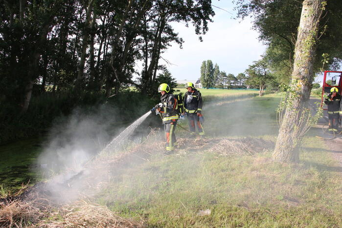 Gemaaid gras in brand