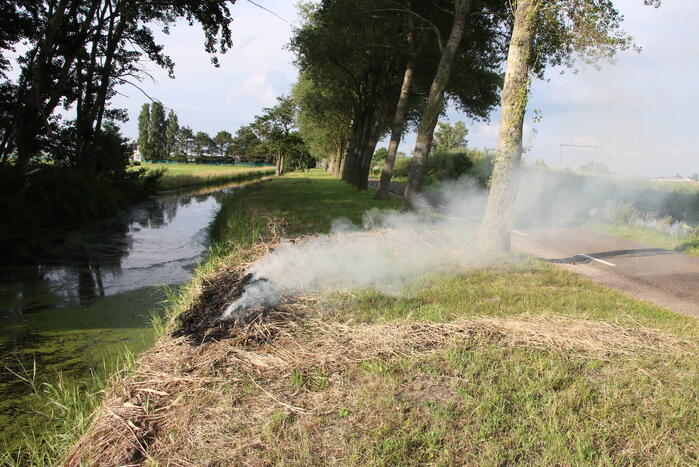Gemaaid gras in brand