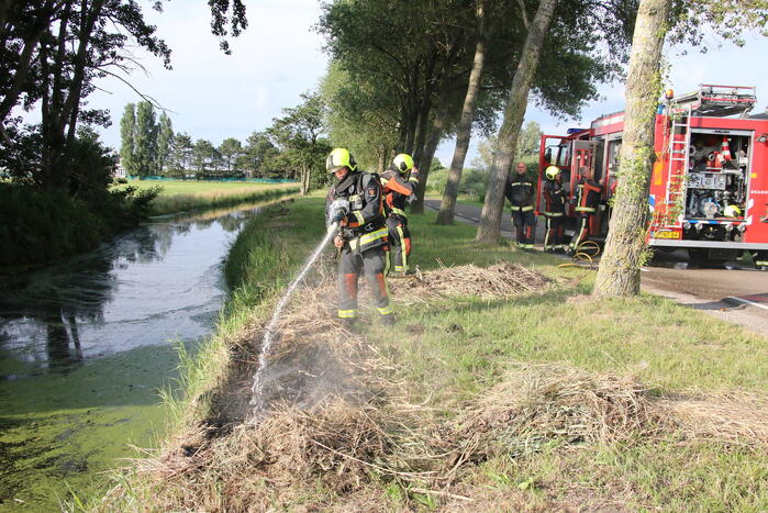 Gemaaid gras in brand