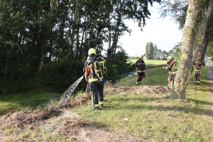 Gemaaid gras in brand