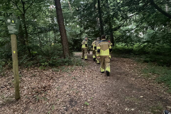 Kleine brand in bosgebied