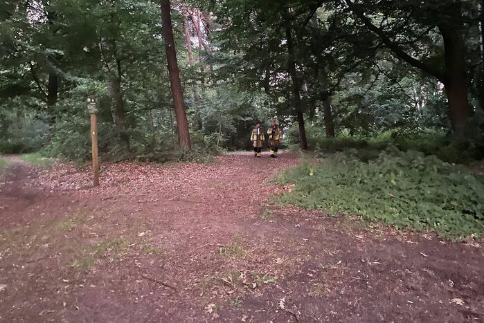 Kleine brand in bosgebied