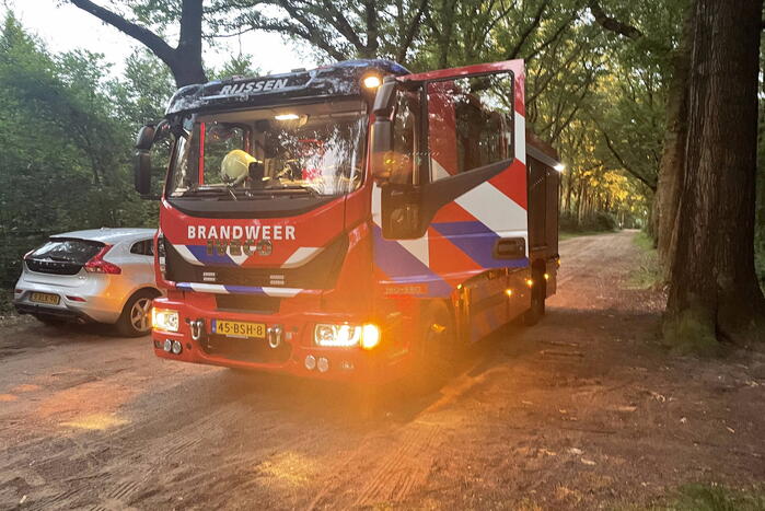 Kleine brand in bosgebied