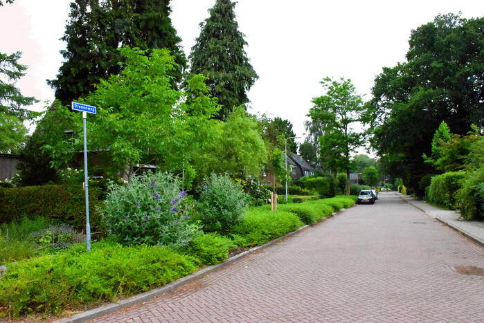 Politie lost waarschuwingsschoten bij aanhouding