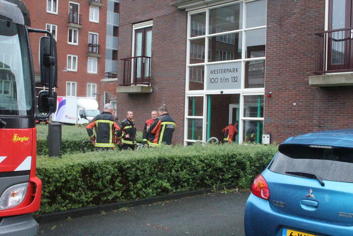 Westerpark Nieuws Rijnsburg 