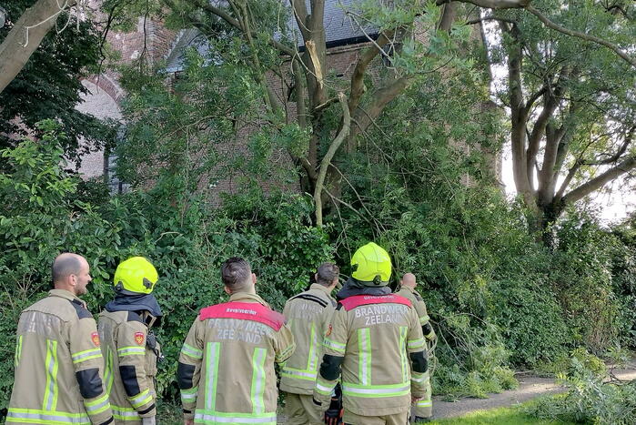 Brandweermannen verwijderen gevaarlijk hangende tak