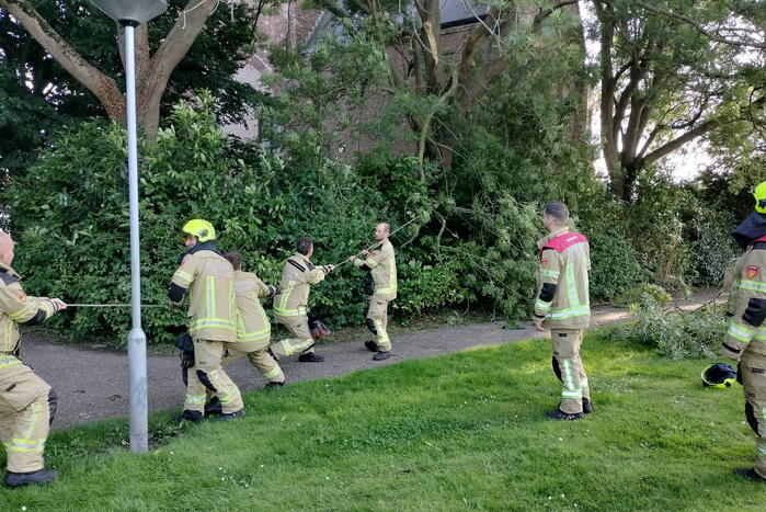 Brandweermannen verwijderen gevaarlijk hangende tak