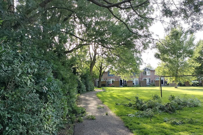 Brandweermannen verwijderen gevaarlijk hangende tak