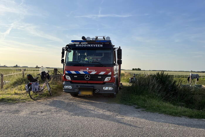 Paard uit sloot gehaald