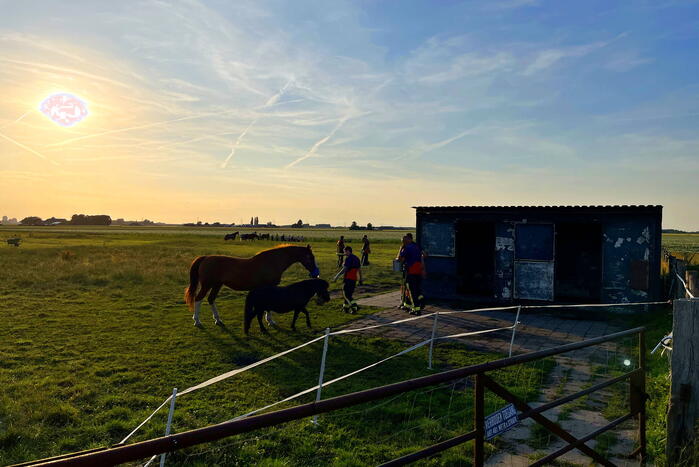 Paard uit sloot gehaald