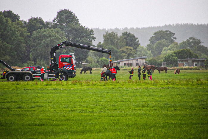 Paard met kraan uit sloot getakeld