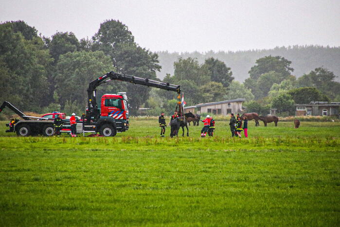 Paard met kraan uit sloot getakeld