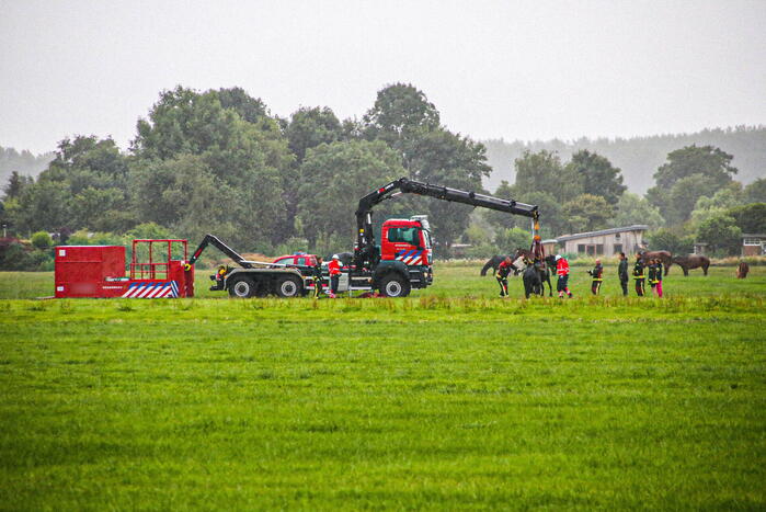 Paard met kraan uit sloot getakeld