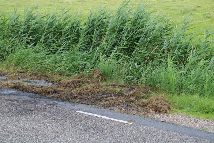 Brand in berm snel geblust