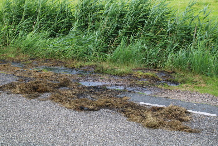 Brand in berm snel geblust