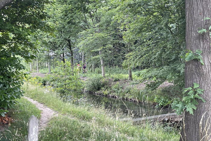 Brandweerlieden blussen brand in buitengebied