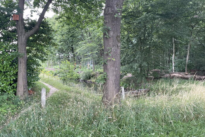 Brandweerlieden blussen brand in buitengebied