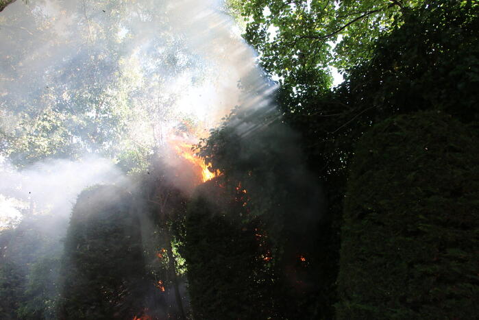 Coniferenhaag in brand door vuurwerk