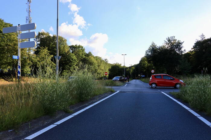 Twee auto's botsen door te hoog gras