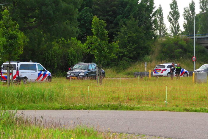Kudde schapen langs de snelweg uitgebroken