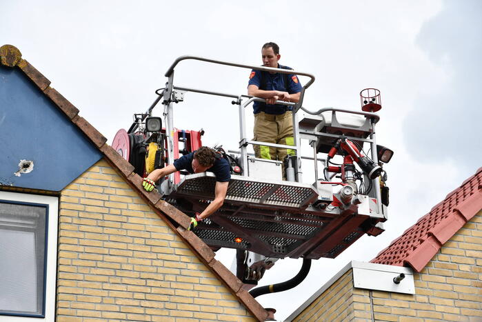 Vastzittende zwaluw door brandweer gered
