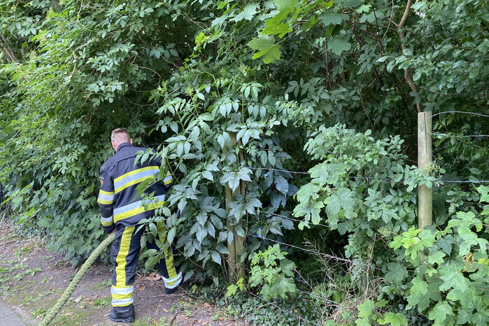 Brand in bosschage snel geblust