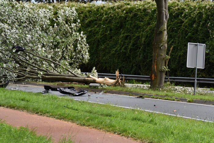 Automobilist overleden bij crash tegen boom
