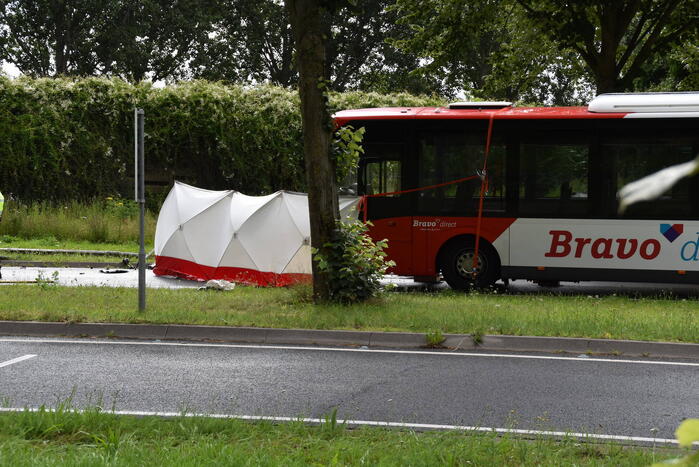 Automobilist overleden bij crash tegen boom