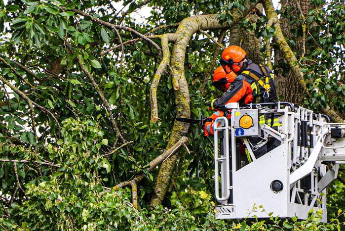 Grote tak van boom afgebroken over voetpad