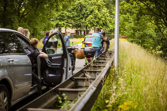 Jongedame gaat hard onderuit met Go Sharing-deelscooter