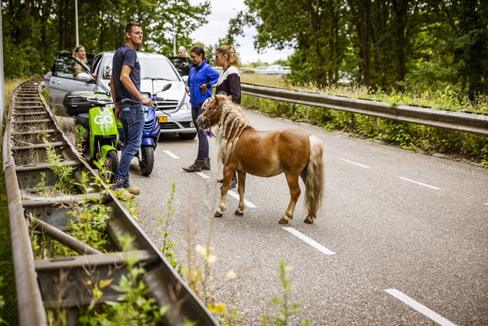 Jongedame gaat hard onderuit met Go Sharing-deelscooter