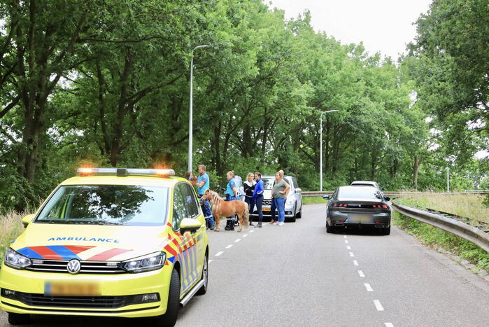 Jongedame gaat hard onderuit met Go Sharing-deelscooter