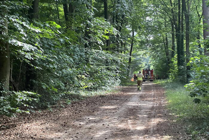 Brand midden is bosgebied